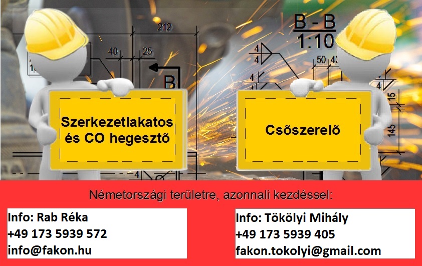 állásajánlat